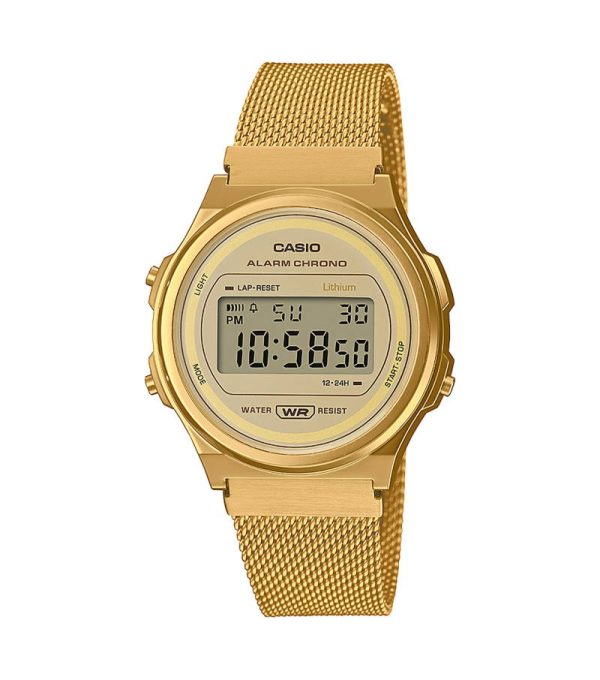 CASIO VINTAGE (3479)_Basic