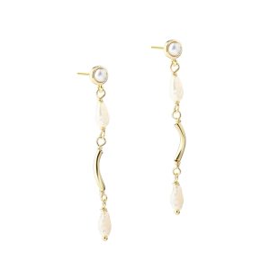 Aqua Dulce - ALURA EARSTUD